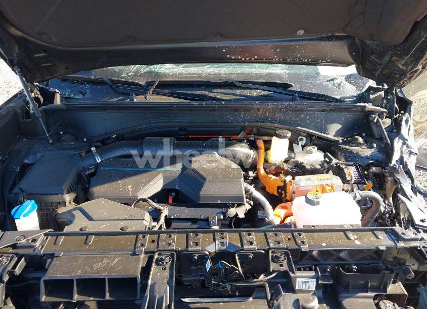Photo 10 of 2025 Hyundai Santa FE HYBRID CALLIGRAPHY (VIN 5NMP5DG11SH042508)