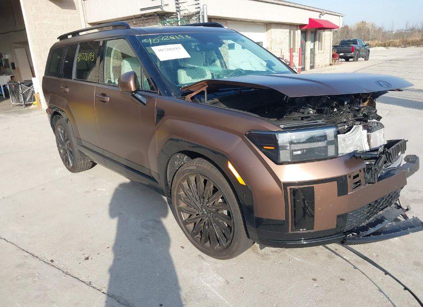 2024 Hyundai Santa FE CALLIGRAPHY (VIN 5NMP5DGL3RH039167) main photo