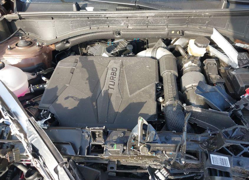 Photo 10 of 2024 Hyundai Santa FE CALLIGRAPHY (VIN 5NMP5DGL3RH039167)