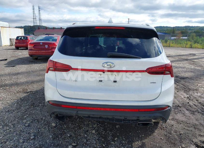 Photo 16 of 2023 Hyundai Santa FE SE (VIN 5NMS1DAJ9PH507655)
