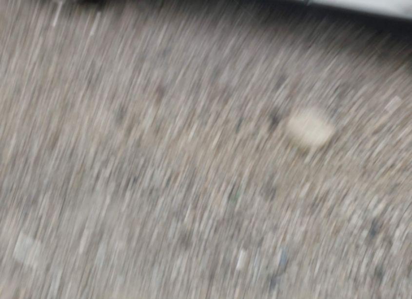 Photo 14 of 2019 Hyundai Santa FE SE (VIN 5NMS23AD5KH099908)