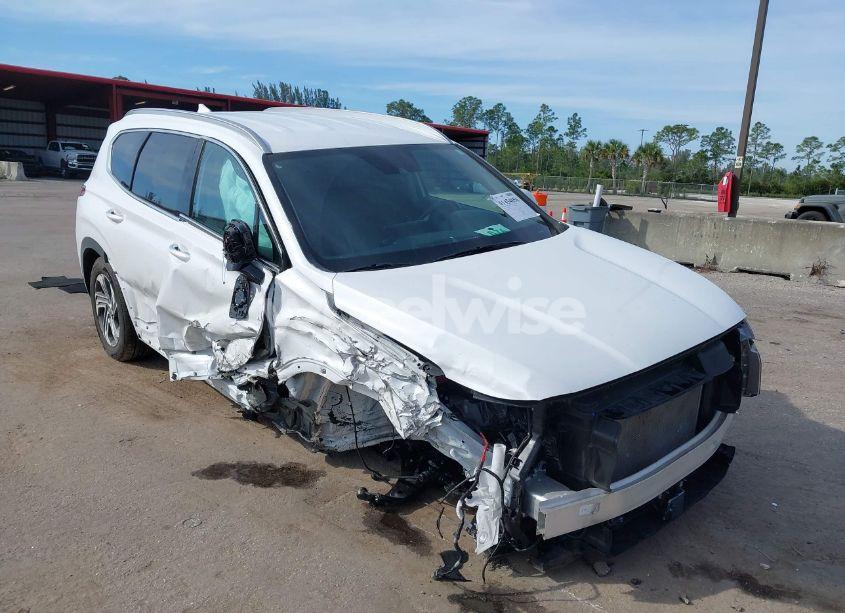 2023 Hyundai Santa FE SEL (VIN 5NMS24AJ2PH487939) main photo