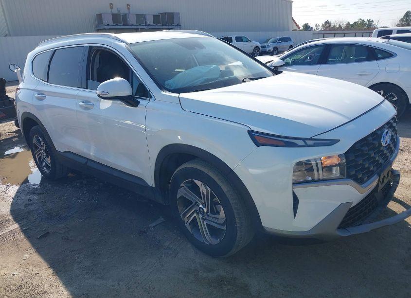 2023 Hyundai Santa FE SEL (VIN 5NMS24AJ4PH516874) main photo