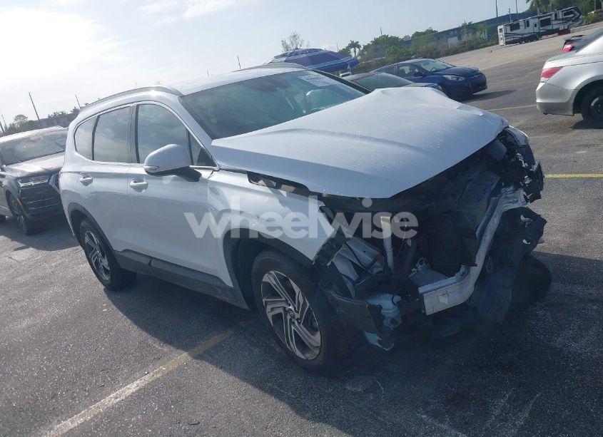 2023 Hyundai Santa FE SEL (VIN 5NMS24AJ5PH489328) main photo