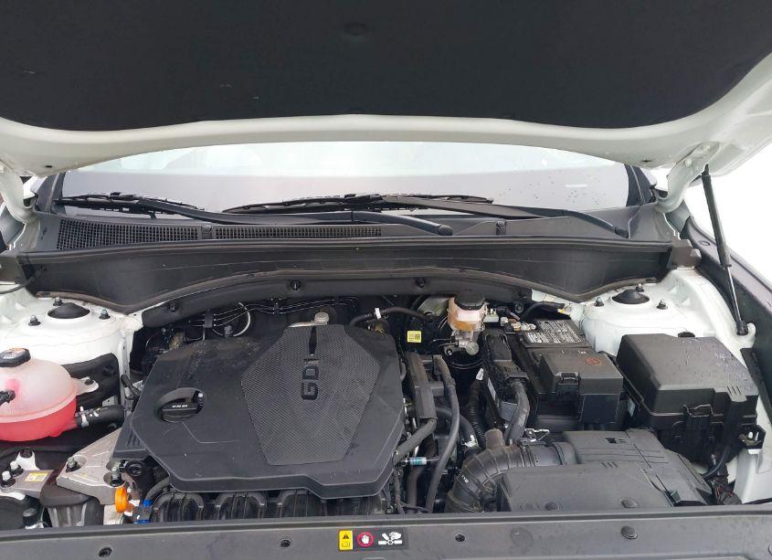 Photo 10 of 2023 Hyundai Santa FE SEL (VIN 5NMS24AJ5PH613159)