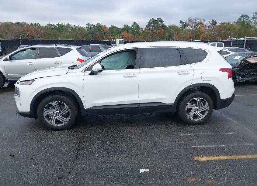 Photo 14 of 2023 Hyundai Santa FE SEL (VIN 5NMS24AJ5PH613159)