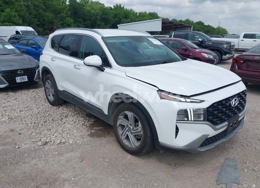 2023 Hyundai Santa FE SEL (VIN 5NMS24AJ8PH567746) main photo
