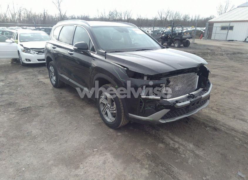 2023 Hyundai Santa FE SEL (VIN 5NMS2DAJ2PH525203) main photo