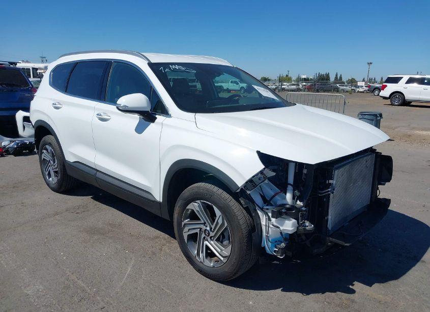 2023 Hyundai Santa FE SEL (VIN 5NMS2DAJ2PH649794) main photo