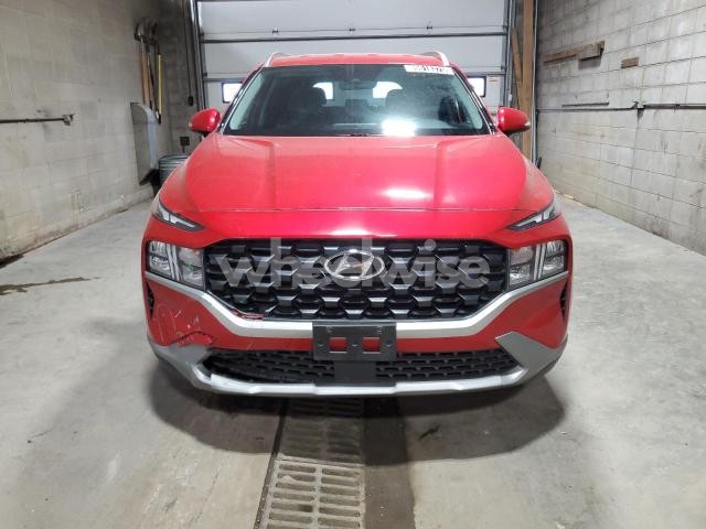 Photo 10 of 2023 HYUNDAI SANTA FE SEL (VIN 5NMS2DAJ3PH571185)