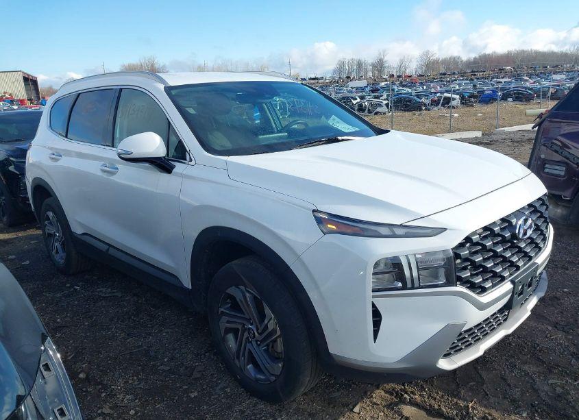 2023 Hyundai Santa FE SEL (VIN 5NMS2DAJ4PH598007) main photo