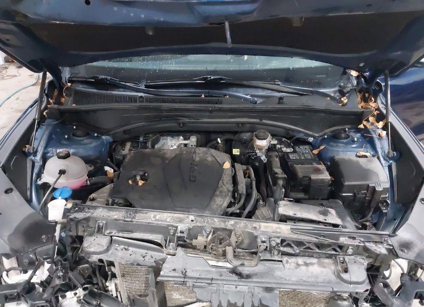Photo 10 of 2023 Hyundai Santa FE SEL (VIN 5NMS2DAJ5PH485750)