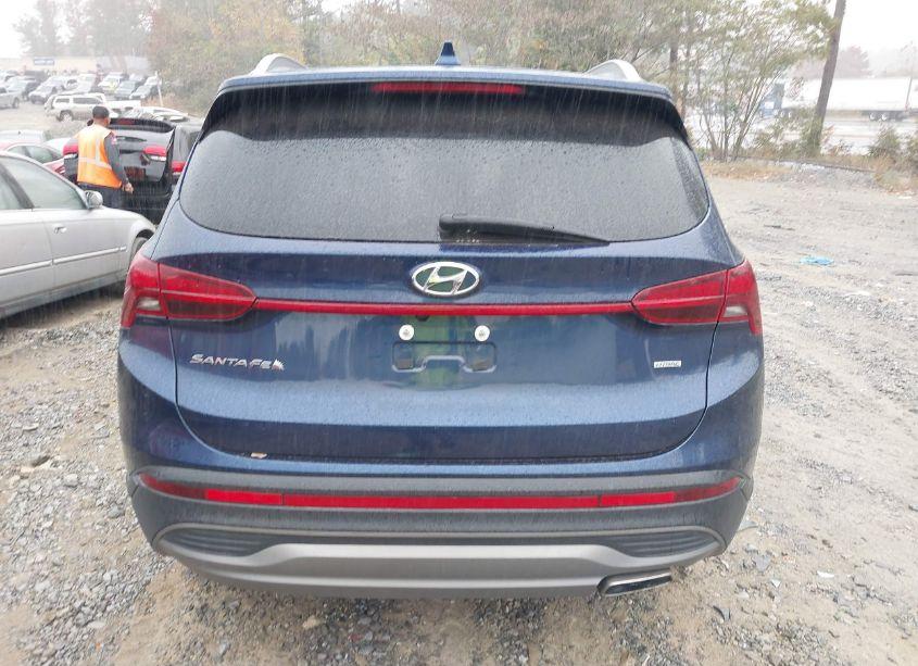 Photo 16 of 2023 Hyundai Santa FE SEL (VIN 5NMS2DAJ5PH523333)