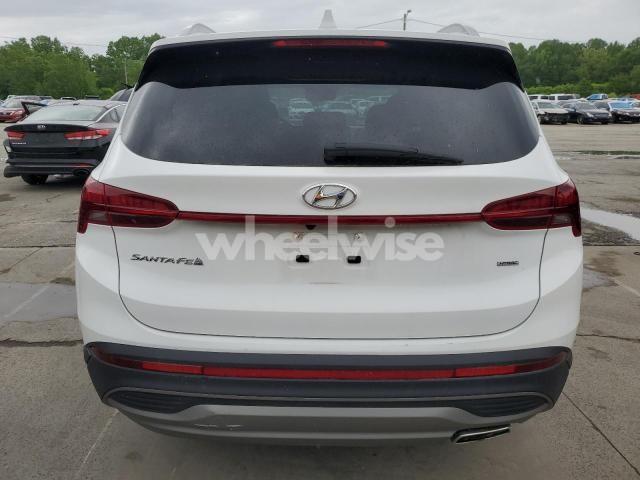 Photo 12 of 2023 HYUNDAI SANTA FE SEL (VIN 5NMS2DAJ5PH597982)