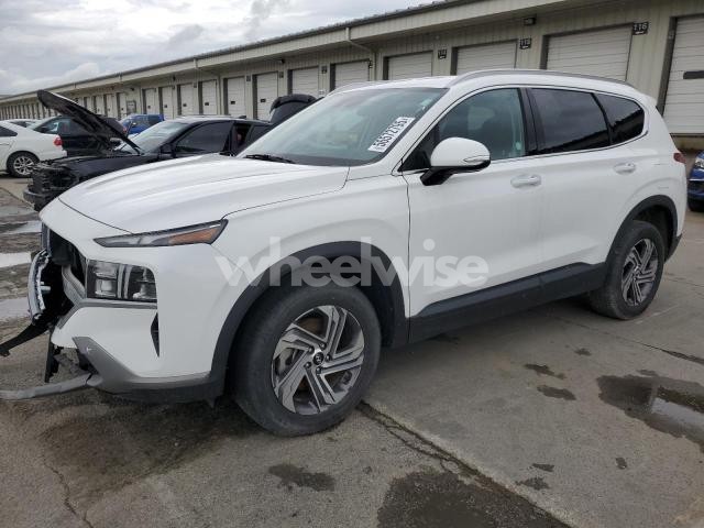 Photo 3 of 2023 HYUNDAI SANTA FE SEL (VIN 5NMS2DAJ5PH597982)