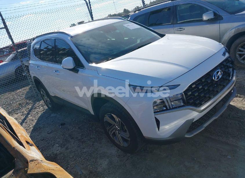2023 Hyundai Santa FE SEL (VIN 5NMS2DAJ5PH631628) main photo
