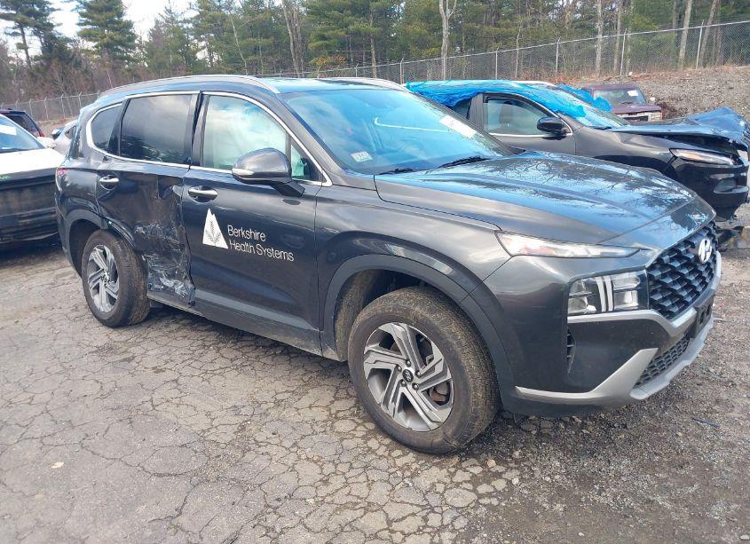 2023 Hyundai Santa FE SEL (VIN 5NMS2DAJ6PH501387) main photo