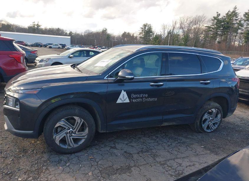 Photo 14 of 2023 Hyundai Santa FE SEL (VIN 5NMS2DAJ6PH501387)