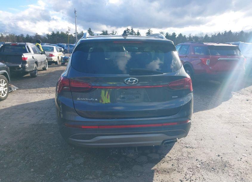 Photo 16 of 2023 Hyundai Santa FE SEL (VIN 5NMS2DAJ6PH501387)
