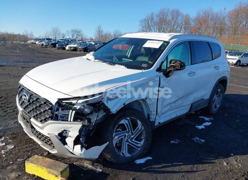 Photo 2 of 2023 Hyundai Santa FE SEL (VIN 5NMS2DAJ6PH546443)
