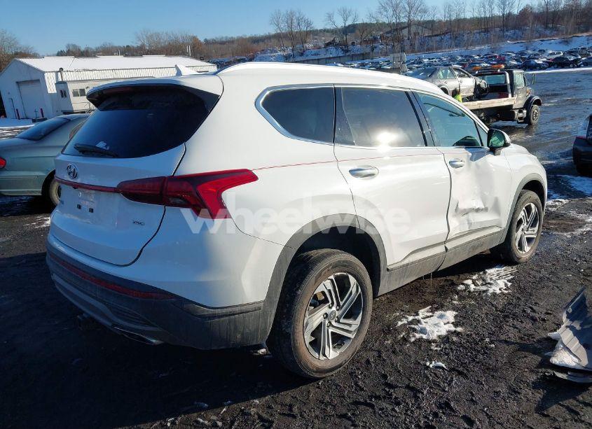 Photo 4 of 2023 Hyundai Santa FE SEL (VIN 5NMS2DAJ6PH546443)