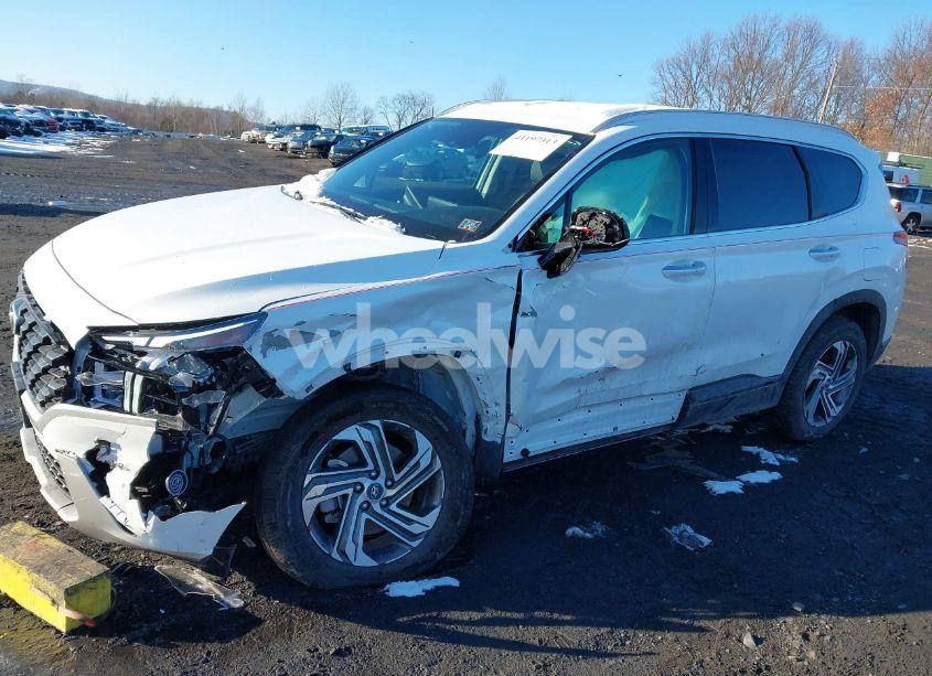 Photo 6 of 2023 Hyundai Santa FE SEL (VIN 5NMS2DAJ6PH546443)