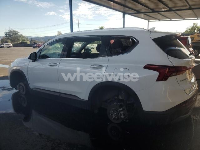 Photo 13 of 2023 HYUNDAI SANTA FE SEL (VIN 5NMS2DAJ6PH593665)