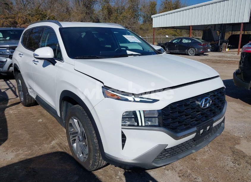 2023 Hyundai Santa FE SEL (VIN 5NMS2DAJ7PH529473) main photo