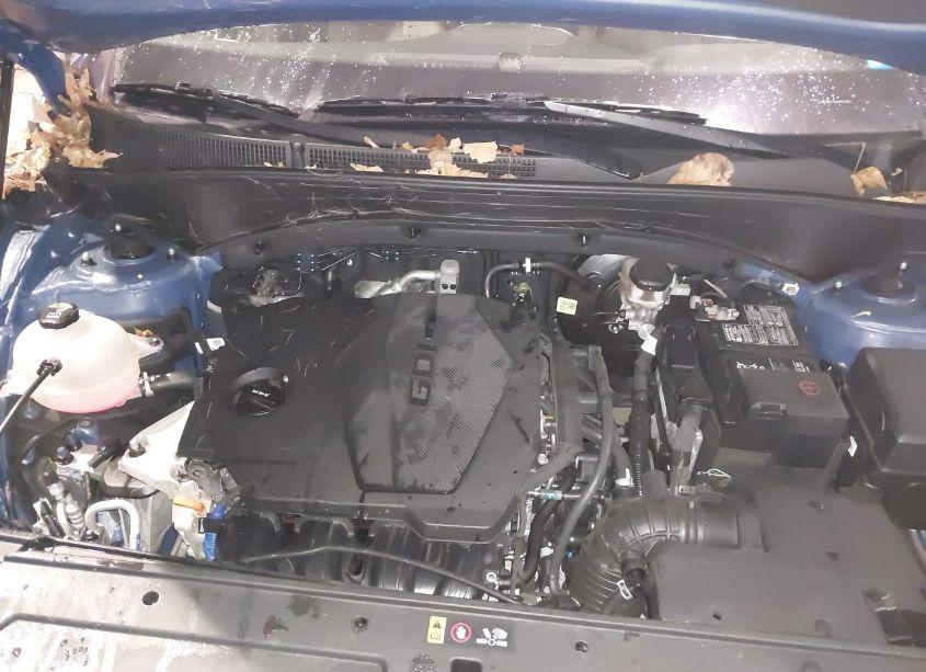 Photo 10 of 2023 Hyundai Santa FE SEL (VIN 5NMS2DAJ8PH513248)