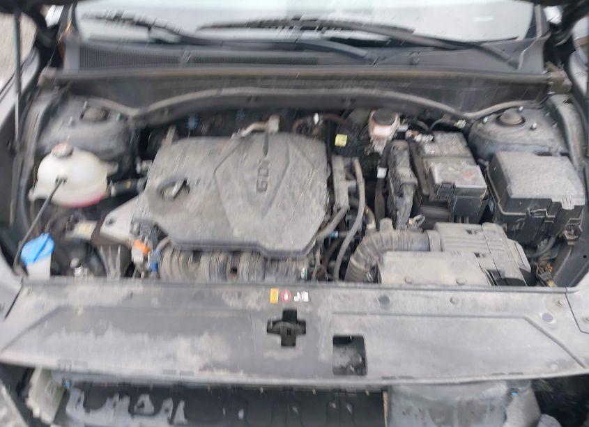 Photo 10 of 2023 Hyundai Santa FE SEL (VIN 5NMS2DAJ9PH513470)