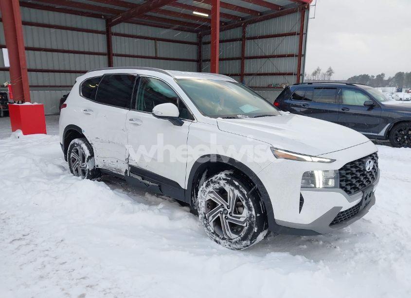 2023 Hyundai Santa FE SEL (VIN 5NMS2DAJ9PH651493) main photo