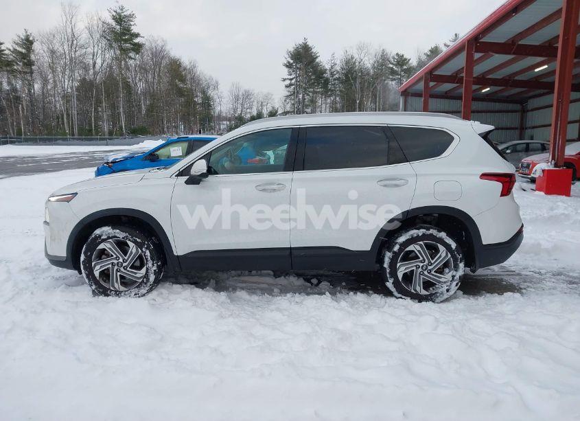 Photo 14 of 2023 Hyundai Santa FE SEL (VIN 5NMS2DAJ9PH651493)