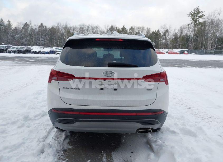 Photo 16 of 2023 Hyundai Santa FE SEL (VIN 5NMS2DAJ9PH651493)
