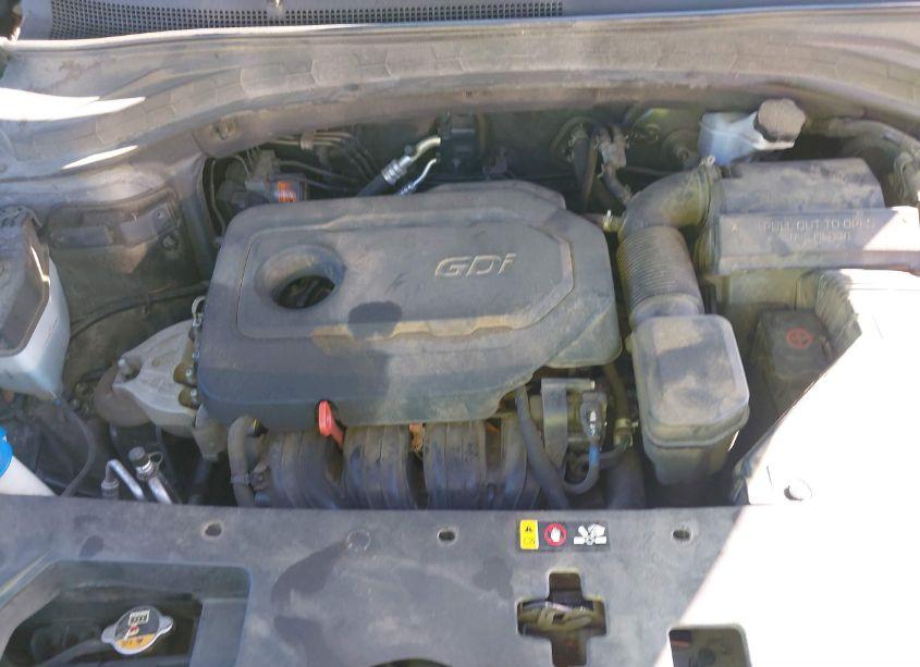 Photo 10 of 2019 Hyundai Santa FE SEL PLUS (VIN 5NMS33AD3KH060361)