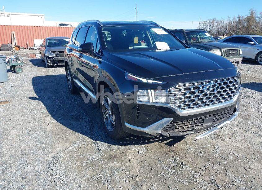 2023 Hyundai Santa FE SEL (VIN 5NMS34AJ0PH560786) main photo