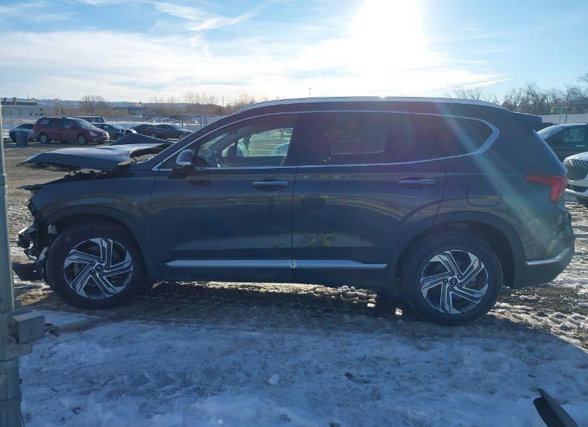 Photo 15 of 2023 Hyundai Santa FE SEL (VIN 5NMS34AJ4PH559835)