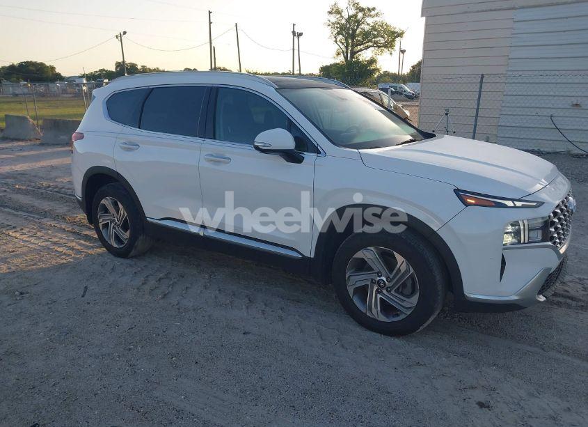 2023 Hyundai Santa FE SEL (VIN 5NMS34AJ4PH569006) main photo