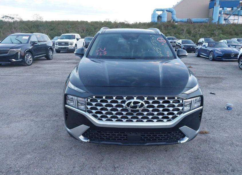 Photo 12 of 2023 Hyundai Santa FE SEL (VIN 5NMS34AJ4PH628247)