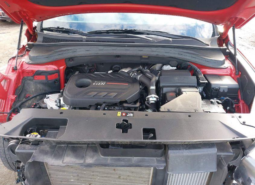 Photo 10 of 2020 Hyundai Santa FE SEL 2.0T (VIN 5NMS3CAA6LH276308)