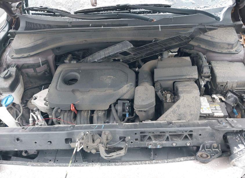 Photo 10 of 2019 Hyundai Santa FE SEL (VIN 5NMS3CAD6KH005631)