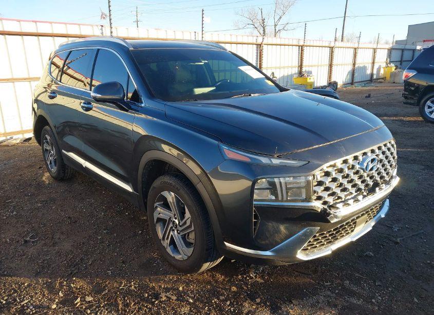 2023 Hyundai Santa FE SEL (VIN 5NMS3DAJ0PH599250) main photo