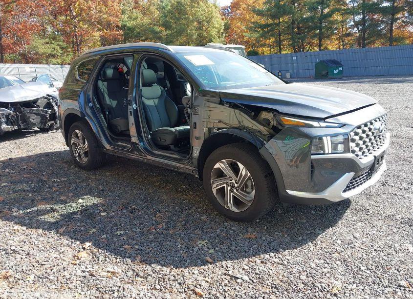 2023 Hyundai Santa FE SEL (VIN 5NMS3DAJ0PH638094) main photo