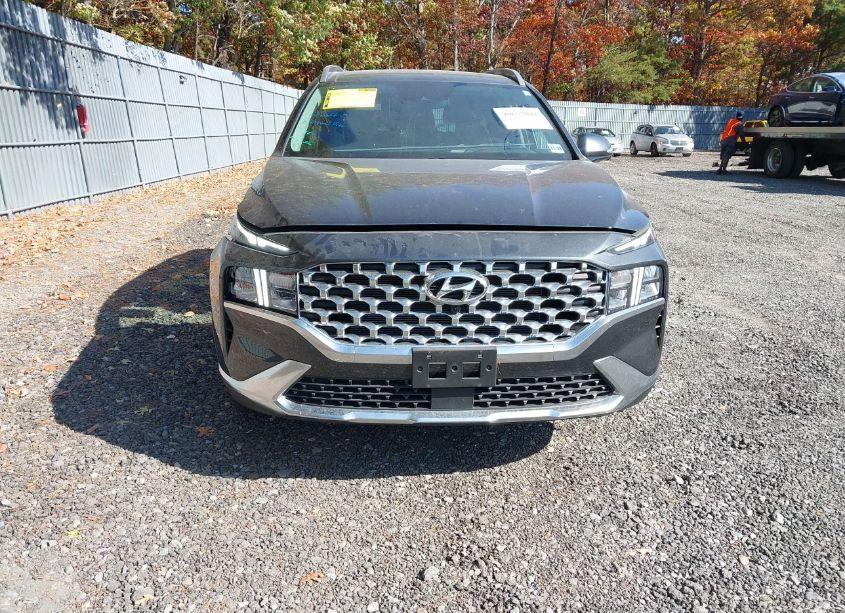 Photo 12 of 2023 Hyundai Santa FE SEL (VIN 5NMS3DAJ0PH638094)