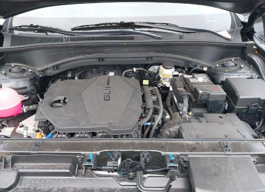 Photo 10 of 2023 Hyundai Santa FE SEL (VIN 5NMS3DAJ1PH627864)