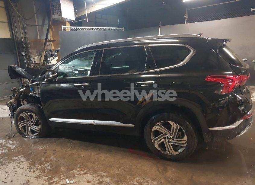 Photo 13 of 2023 Hyundai Santa FE SEL (VIN 5NMS3DAJ2PH649257)