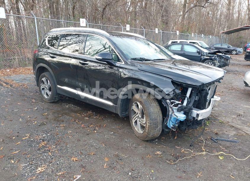 2023 Hyundai Santa FE SEL (VIN 5NMS3DAJ3PH504079) main photo