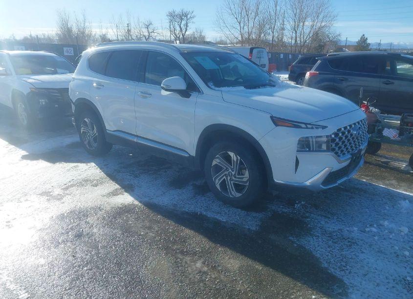 2023 Hyundai Santa FE SEL (VIN 5NMS3DAJ3PH532979) main photo