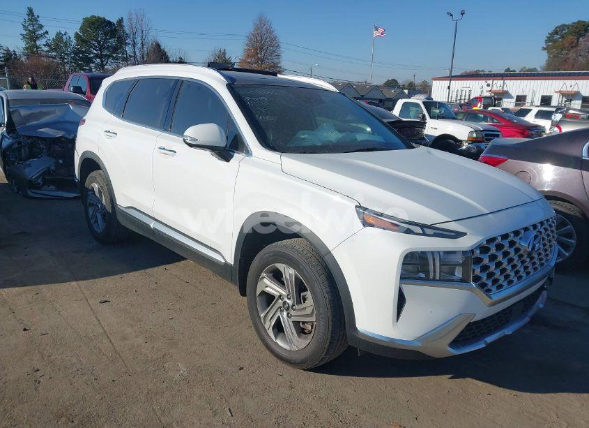 2023 Hyundai Santa FE SEL (VIN 5NMS3DAJ3PH539852) main photo
