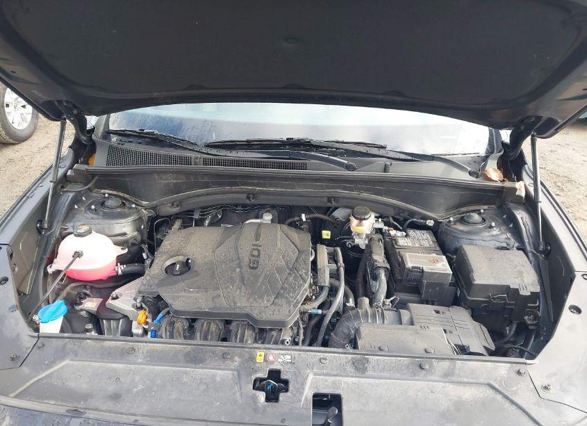 Photo 10 of 2023 Hyundai Santa FE SEL (VIN 5NMS3DAJ3PH589702)