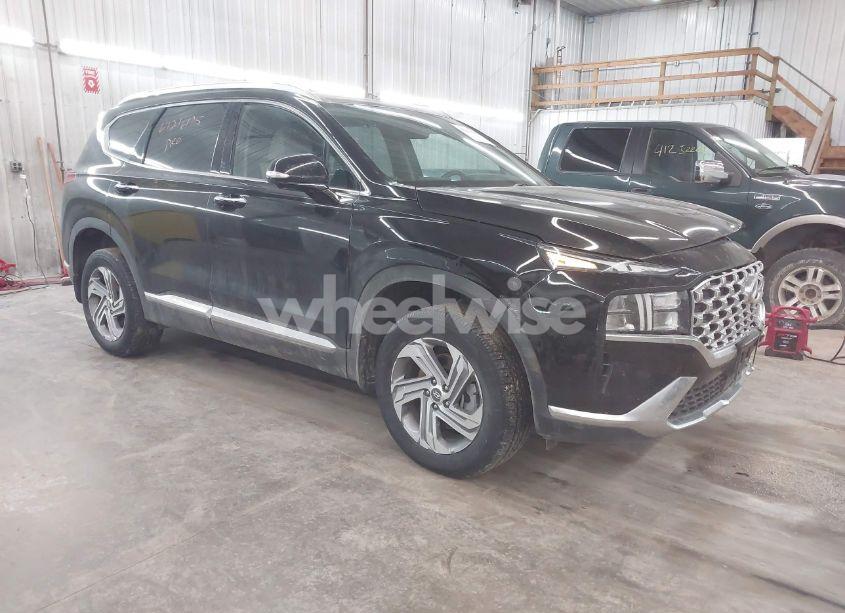 2023 Hyundai Santa FE SEL (VIN 5NMS3DAJ5PH568950) main photo